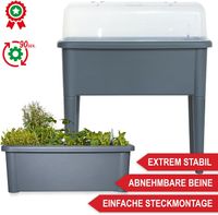 Grau Hochbeet Frühbeet Pflanzkasten Anzucht !! NEU!! Nordrhein-Westfalen - Ostbevern Vorschau