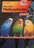 2 Wellensittiche Bücher, Vögel, Sittich Wellensittich Hessen - Wetzlar Vorschau