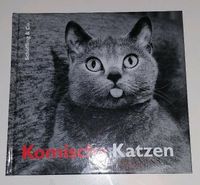 Buch Komische Katzen Schöpfung & Co. Fotografien s/w Hamburg-Nord - Hamburg Barmbek Vorschau