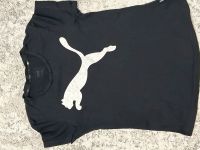 Zwei Puma T-Shirts Berlin - Neukölln Vorschau