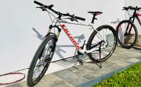 Cucuma Pimenta MTB Hardtail Carbon XTR Rockshox Profibike Fahrrad Bayern - Cadolzburg Vorschau