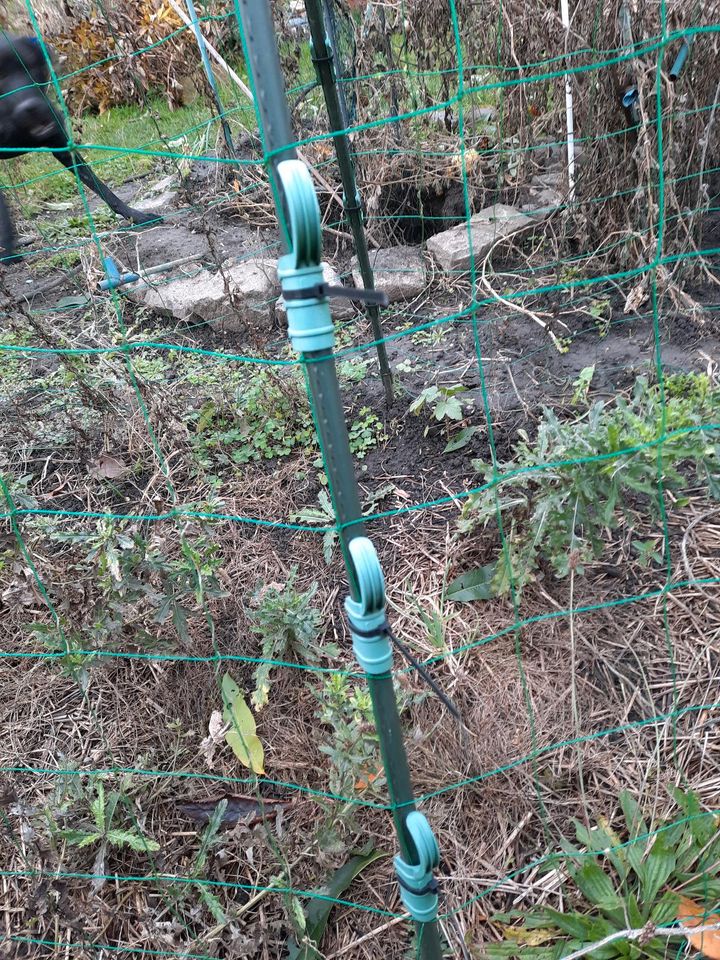 Rankgerüst maxi Rankgitter Pötzschke Kletterhilfe in Elsteraue