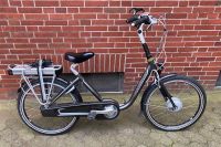 Gazelle Balance Damen 46cm 7gang E-Bike 24Zoll Elektrofahrrad Nordrhein-Westfalen - Coesfeld Vorschau
