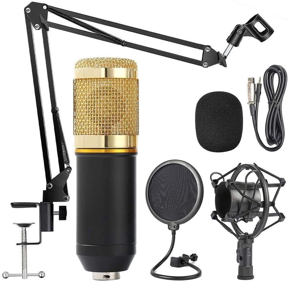 Professional Condenser Microphone in Rheine