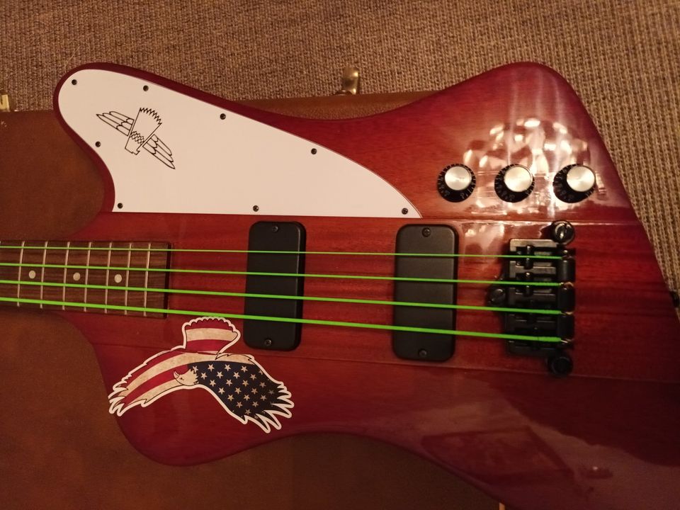 Gibson Thunderbird Bass in Werder (Havel)