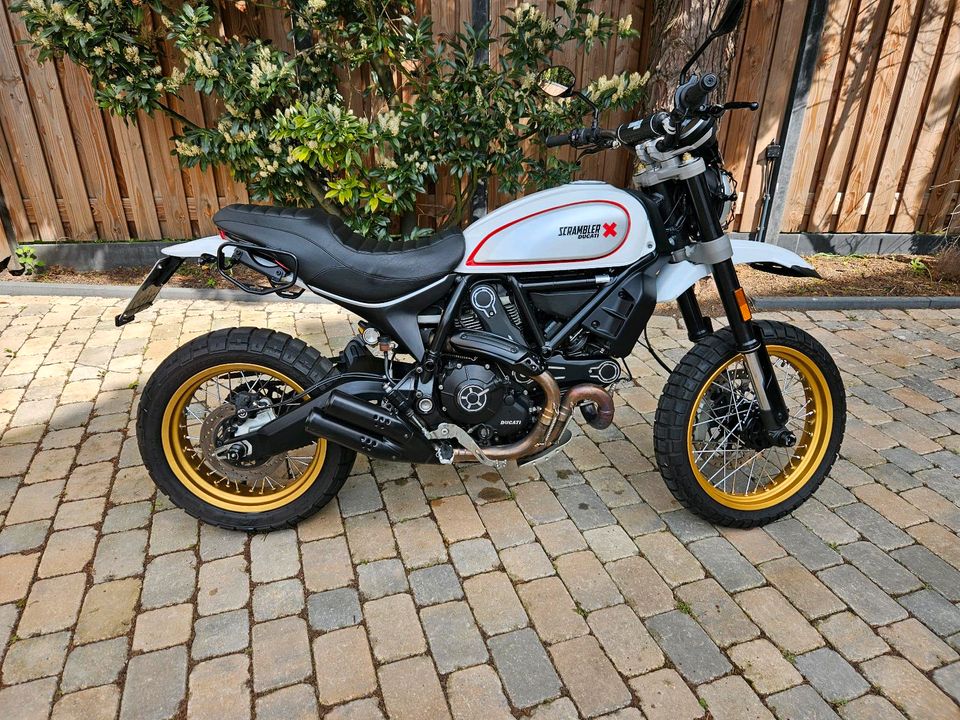 Ducati Scrambler Desert Sled in Lehrte