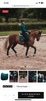 Equestrian Stockholm Schabracke- Emerald Green Cob Dressur Bayern - Ebermannstadt Vorschau