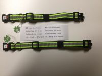 Hundehalsband mit Refletorband Bayern - Geiselwind Vorschau