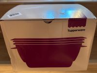 Tupperware Micro-CombiGourmet 3Liter+4 Förmchen Sachsen - Limbach-Oberfrohna Vorschau