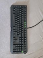 Razer Blackwidow Elite Rheinland-Pfalz - Bruchmühlbach-Miesau Vorschau