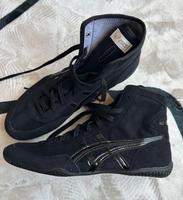 Ringerschuhe Asics Tiger Exeo Baden-Württemberg - Kehl Vorschau