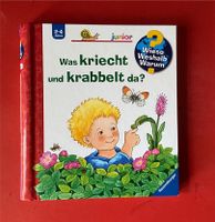 Wieso Weshalb Warum Serie: Was kriecht und krabbelt da? Dresden - Kleinzschachwitz Vorschau