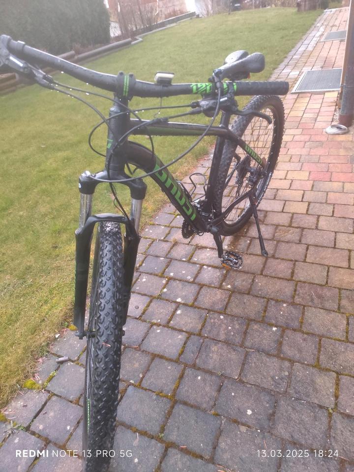 Mountainbike, MTB, Jugend Mountainkike, Größe L, Ghost,29Zoll in Hayingen