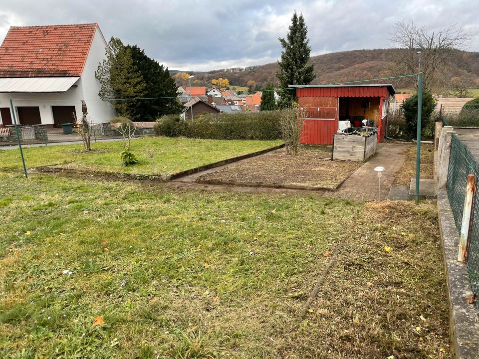 Gartenpflege, rasenmähservice, Heckenpflege und Entfernung in Hohenahr