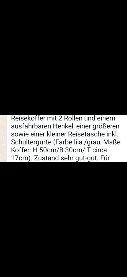 Kofferset mit Taschenset in Nürnberg (Mittelfr)