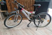 Fahrrad zu verkaufen Nordrhein-Westfalen - Gevelsberg Vorschau