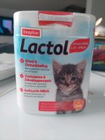 Lactol Kitten Milch Nordrhein-Westfalen - Eschweiler Vorschau