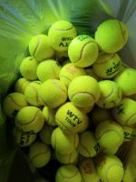 Tennisbälle ca. 80 Stück Sommersaison 2023 gebraucht Nordrhein-Westfalen - Lippstadt Vorschau