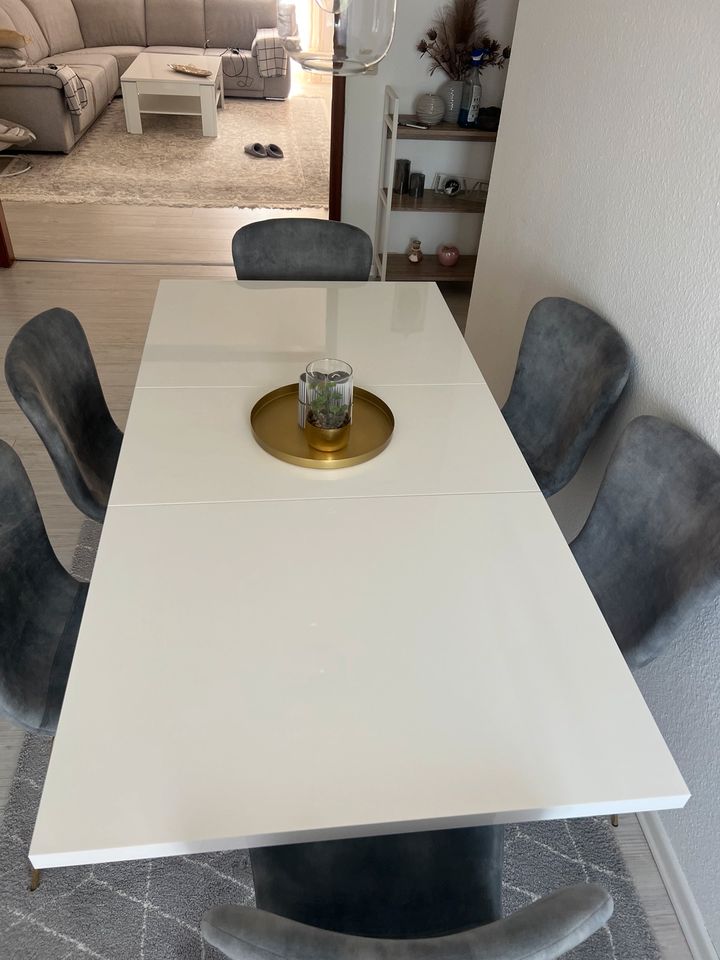 Teppichtisch und Stühle Tisch komplett in Flensburg