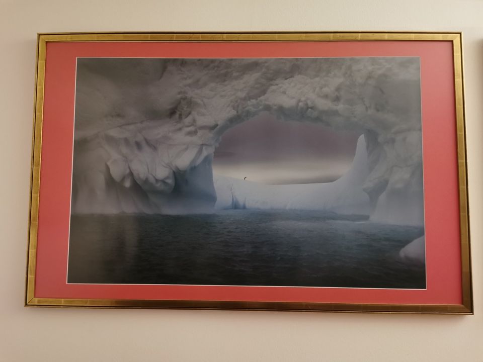 Große Antarktisfotos im Blattgoldrahmen pro Bild 80 € in Berlin