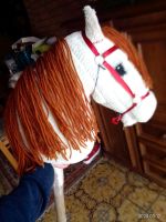 Hobby Horse Nordrhein-Westfalen - Neuss Vorschau