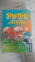 Sheltie "Kleines Pony, großes Abenteuer" Buch für Kinder Hessen - Darmstadt Vorschau