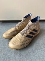 Adidas Fußballschuhe Predator 18.1 Gr. 44 Bremen - Oberneuland Vorschau