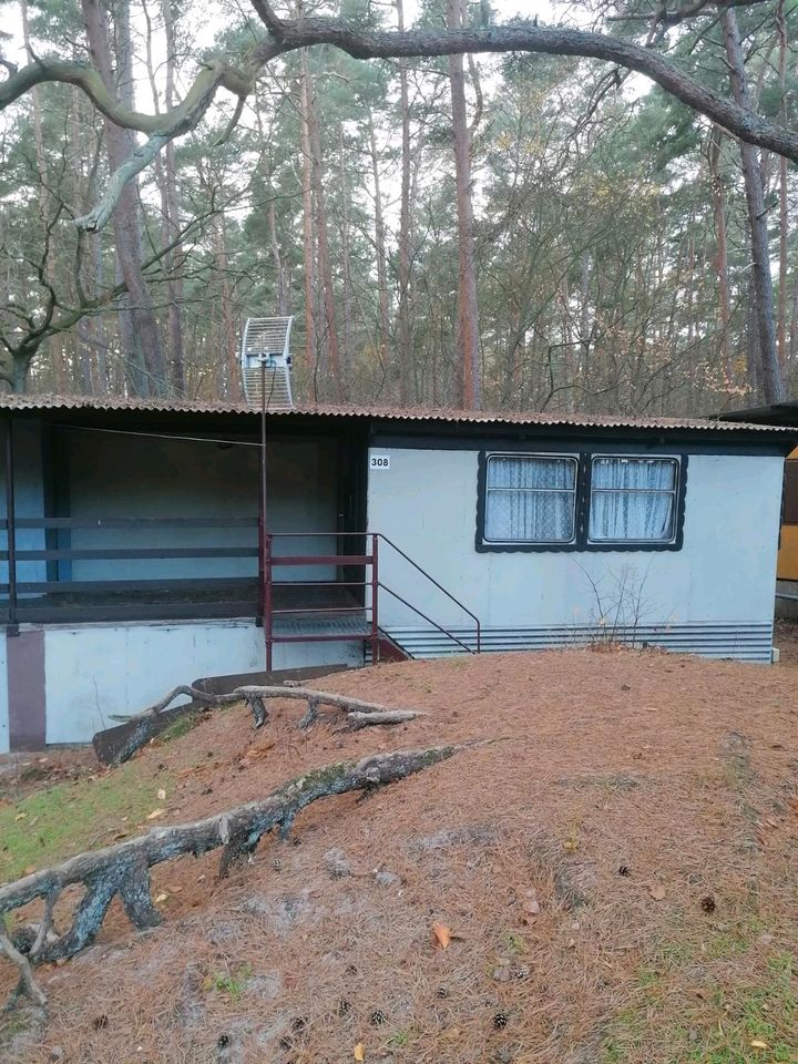 Bungalow Göhren /Rügen /Regenbogencamp in Goehren