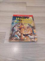 Buch Bibelgeschichten für Kinder " Das Wunder von Bethlehem" Nordrhein-Westfalen - Marl Vorschau