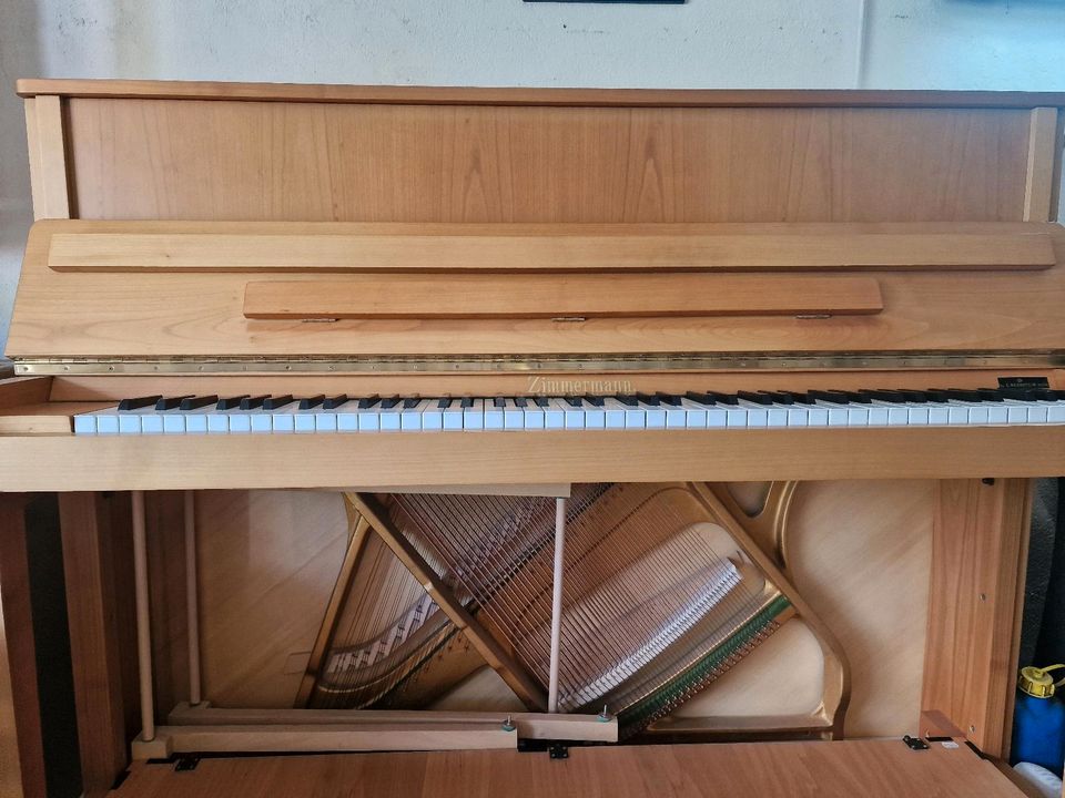 Klavier von C. BECHSTEIN Z2 in Birresborn