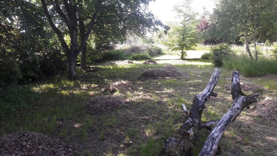 Westerwald: Charaktervolles, großes Fachwerk-Gebäude mit tollem Gartengrundstück und 3er-Garage in Mehren Westerwald