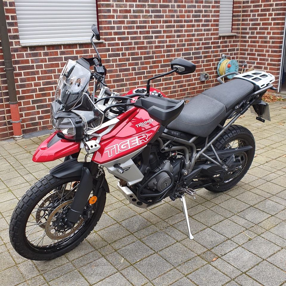 Triumph Tiger 800 XCA in Haltern am See