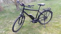 E-Bike Herren Victoria Trekking 6.3 Größe 52 (53 laut Rahmen) Sachsen - Grimma Vorschau