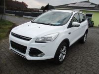 Ford Kuga 1.5 Sync Edition TEMP~SITZHZG~TÜV NEU ~ TOP Niedersachsen - Herzberg am Harz Vorschau