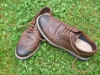 Lederschuhe Clarks Batcombe Wing, Budapester, Konfirmation,Gr. 40 Bayern - Petersaurach Vorschau