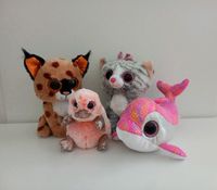 Glubschi neuwertig Kuscheltiere Nici Ty Beanie Boo Glubschis Niedersachsen - Dannenberg (Elbe) Vorschau