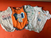 Bodys Set Gr. 74/80 Liegelind, Baby Sachsen - Chemnitz Vorschau