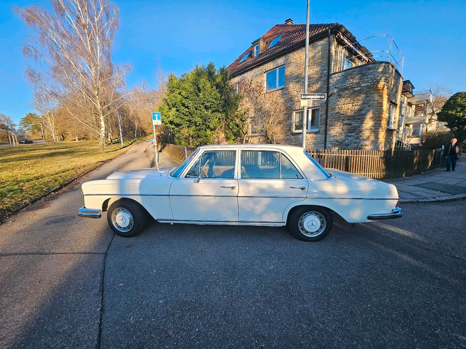 Weißen Mercedes Oldtimer als Hochzeitsauto mieten! in Stuttgart