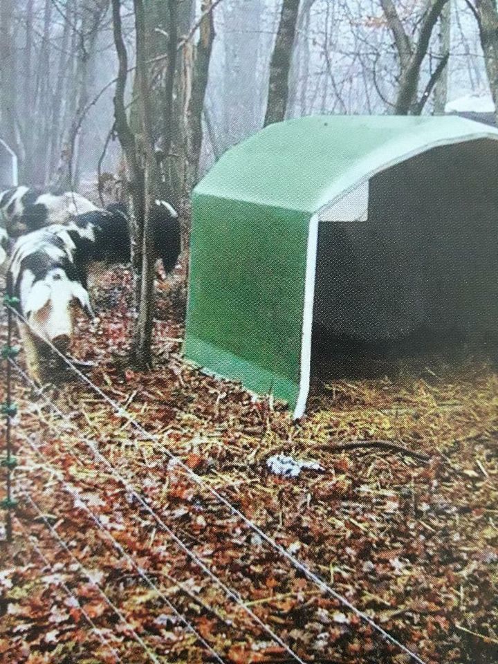 Kälberiglu für 3 Kälber ohne Umzäunung oder Schweinehütte in