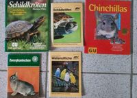 Zwergkaninchen, Chinchillas Kiel - Wellsee-Kronsburg-Rönne Vorschau