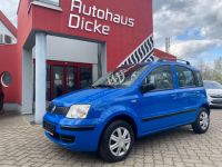 Fiat Panda 1.1 8V Joung Klima AHK 5türig Servo Thüringen - Gera Vorschau