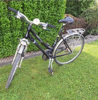 Damenrad Fahrrad gebraucht Trek T250 Baden-Württemberg - Wangen im Allgäu Vorschau