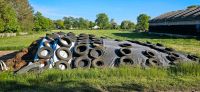 Grassilage,Silage,Silo,Heu,Gras,Futter,Tiere,Pferde,Rinder Schleswig-Holstein - Bargenstedt Vorschau