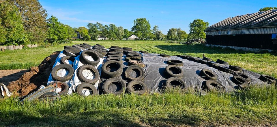 Grassilage,Silage,Silo,Heu,Gras,Futter,Tiere,Pferde,Rinder in Bargenstedt