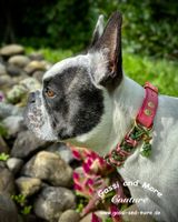 Edles Paracord Halsband Hundehalsband NEU Handarbeit Bayern - Memmingen Vorschau