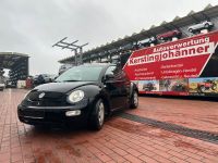 SCHLACHTFEST!! VW Newe Beetle | Bj: 1999 | AQY | L041 Nordrhein-Westfalen - Schloß Holte-Stukenbrock Vorschau