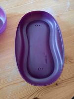 Omelett Maker von Tupperware Niedersachsen - Damme Vorschau