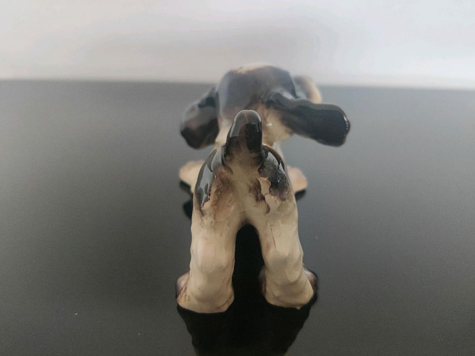 GOEBEL Cocker Spaniel Welpe Hund Figur 30105 weiß braun schwarz in Achim