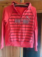 Sport Jacke gr m Rheinland-Pfalz - Bernkastel-Kues Vorschau