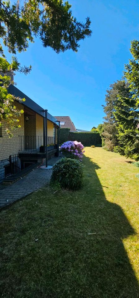 Familienoase in ruhiger Lage Einfamilienhaus mit Garten in Lehrte in Lehrte